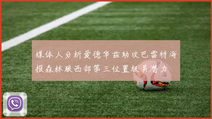 媒体人分析爱德华兹助攻巴雷特海报森林狼西部第三位置极具潜力