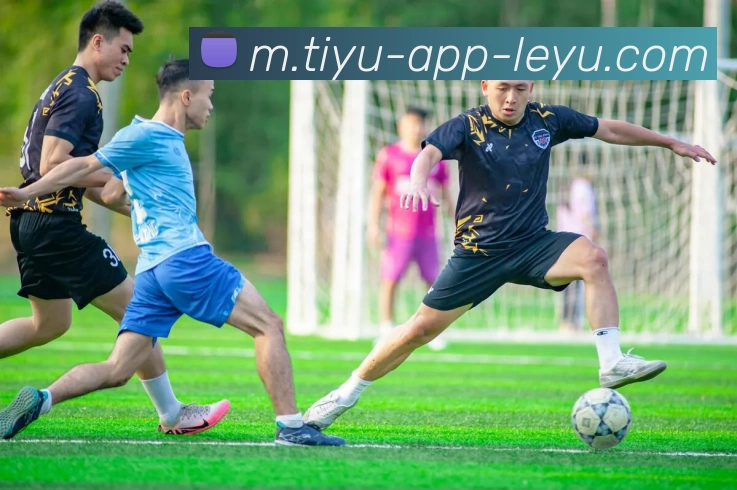 乐鱼体育平台生态图