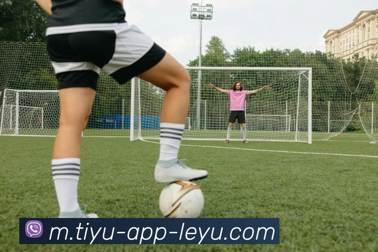 乐鱼体育全站App