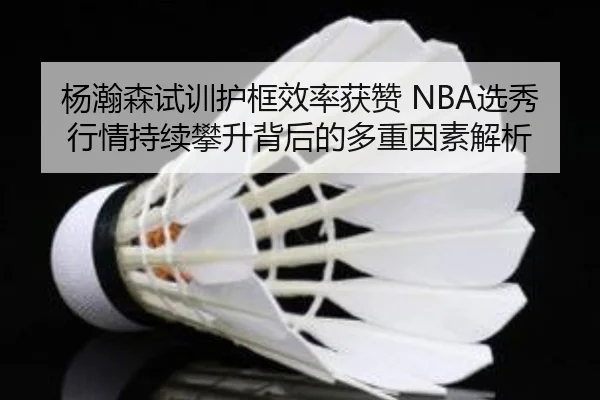 杨瀚森试训护框效率获赞 NBA选秀行情持续攀升背后的多重因素解析 | Leyu